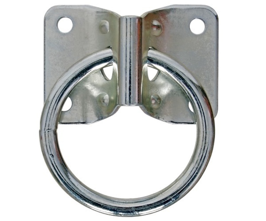Blue Tag Mounting Plate with Ring image 0